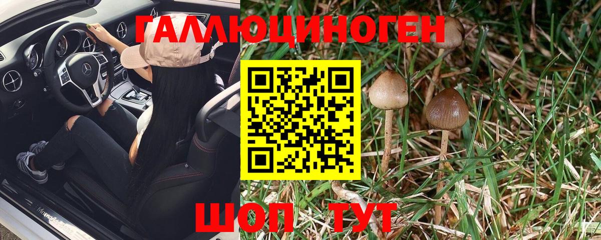 Псилоцибиновые грибы Magic Shrooms  Галлюциногенные грибы мухоморы  Вход с VPN  как найти наркотики  Нягань 
